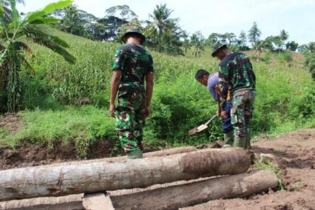 Batang Kelapa Untuk Jembatan Darurat Nusantarapos Co Id