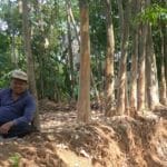 Dongkrak harga petani karet berkat TMMD reg 103 Kodim Batang