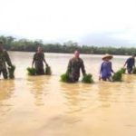 Sawah Seluas 11 Hektare Terendam Banjir, Petani Desa Pasuruhan Kecamatan Binangun Gagal Tanam