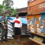 Babinsa Monitoring Bantuan Pupuk Organik