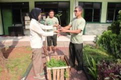 Satgas TMMD Bekasi Bakal Bagikan Bibit Pepaya California