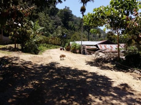 Jelang Penutupan TMMD, Kedekatan Warga dan Satgas Semakin Terjalin