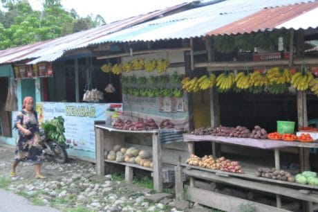 Program TMMD Membuka Jalan Gula Bagi Petani