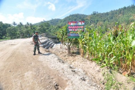 Panen Jagung Perdana Langsung Lewati Jalan Baru