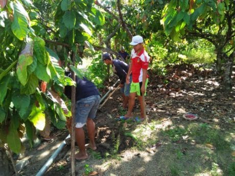Potensi Buah- buahan Sangat Menjanjikan Didesa Bakubakulu