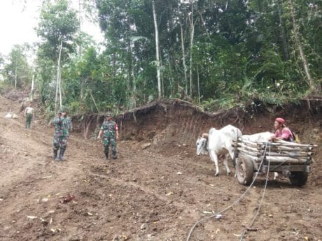 Pedati Jimris Kobitang Ikut Angkut Material TMMD