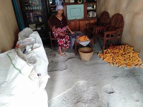 Harga Jagung Kering di Lokasi TMMD Pemalang Tergantung Kadar Air