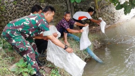 Satgas TMMD Pemalang Tabur Benih Ikan Di Kaliwadas