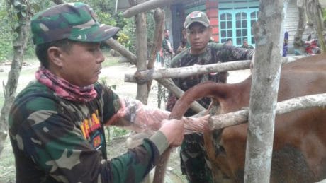 IB Terobosan Baru Satgas TMMD 104 Di Sultra