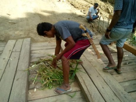 Rumput Gajah Hiasi Pinggiran Jembatan I Bakubakulu