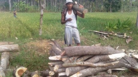 TMMD Pemalang Mempermudah Profesi Penebang Pohon