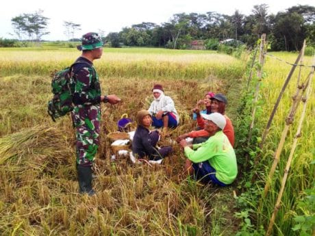 Petani Desa Jatiroyom Dukung Program TMMD Pemalang