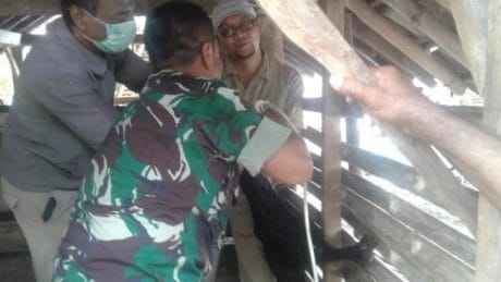 Dinas Peternakan Kabupaten Pemalang Vaksinasi Ternak Bersama TNI
