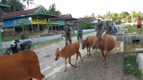 Sinergitas TNI-POLRI di Lokasi TMMD