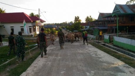 WARGA UNTUK MEMASUKAN KE DALAM KANGDANG DI SORE HARI