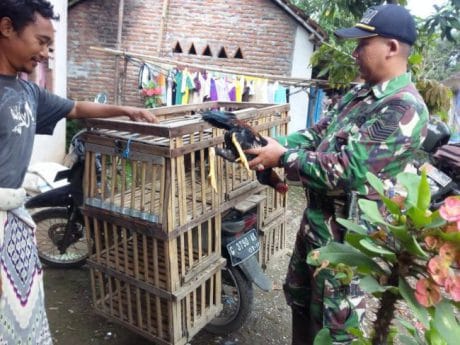 Pedagang Ayam Apresiasi Pembangunan Jalan penghubung Jatiroyom Parunggalih Pemalang