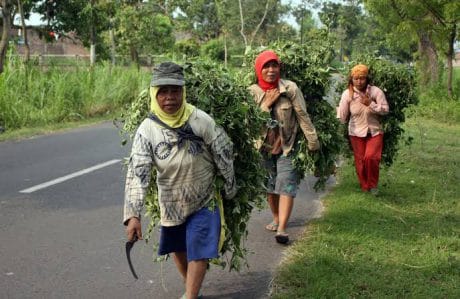 Warga TMMD Berharap Impiannya Segera Terwujud