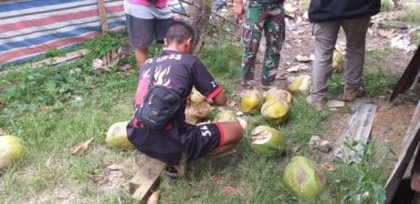 Air Kelapa Muda  Pelepas Dahaga Bagi Satgas TMMD