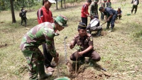 Forkopimda Pemalang Tanam Ratusan Salam dan Kosambi Bersama TNI