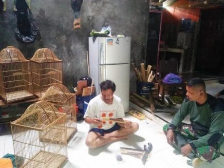 Kicau Mania, Ada Sangkar Burung Bagus di Jatiroyom Pemalang