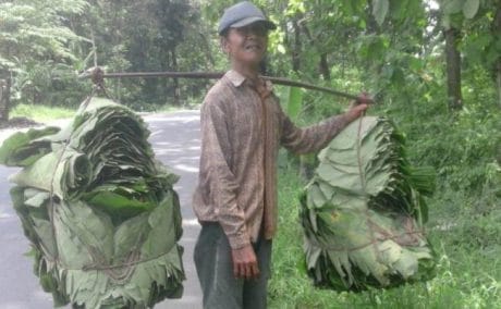 Jalan Dibangun TNI Pemalang, Pencari Daun Jati Harap Pesanan Baru