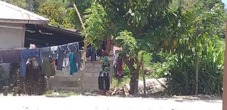 Panen Coklat untu Ekonomi Keluarga