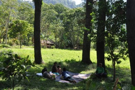 Hutan Bakubakulu yang Asyik untuk Refreshing
