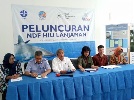 Indonesia Resmi Luncurkan Dokumen NDF Hiu Lanjaman