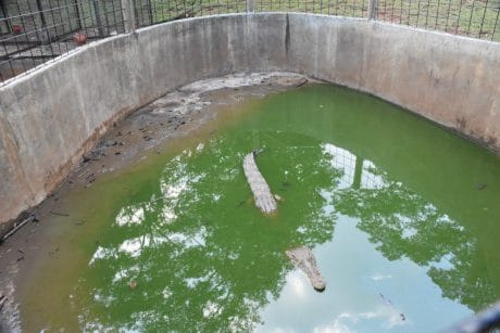 Kostrad Berterima Kasih Atas Masukan Pengelolaan ‘Mini Zoo’ Tirta Gupti