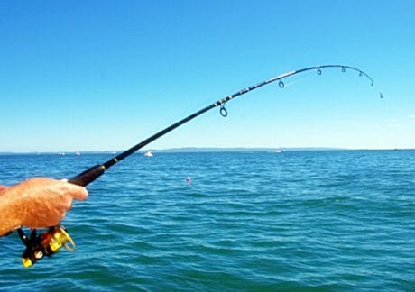 Gegerkan Warga, Seorang Pria Trenggalek Menghilang