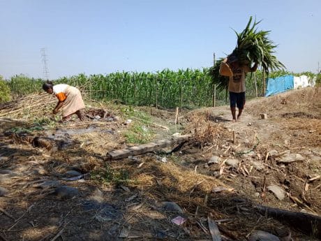 Jalan Usaha Tani Yang Diimpikan