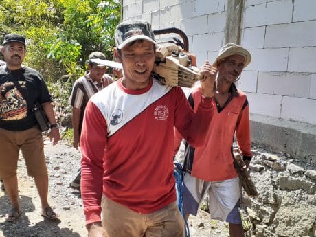 Potert Petugas Tebang Pohon Untuk JUT