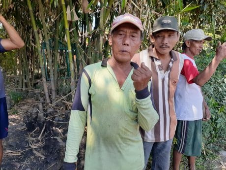Pemilik Lahan Sepakat Pohon Untuk JUT Ditebang