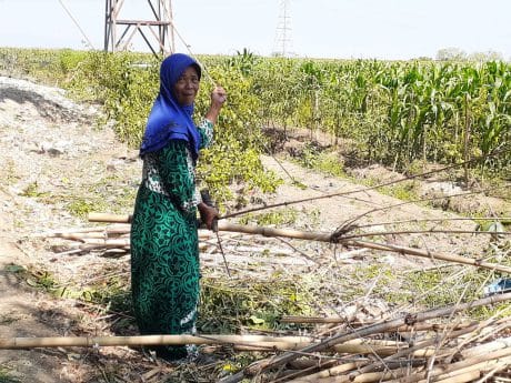 Legowo, JUT Diperluas Hingga Berjibaku Ikut Gotong Royong
