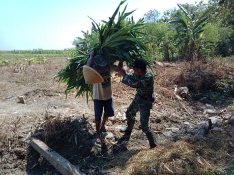 TMMD Tegal Wujudkan Mimpi Petani