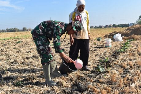 Jaga Keharmonisan Dengan Warga, Anggota Satgas Tmmd Bantu Petani Siram Tanaman(3)