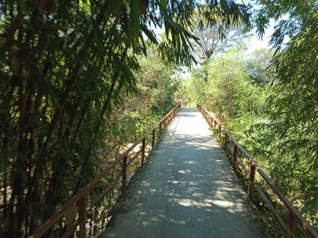 Warga Bikin LPJ Sepanjang 200 Meter