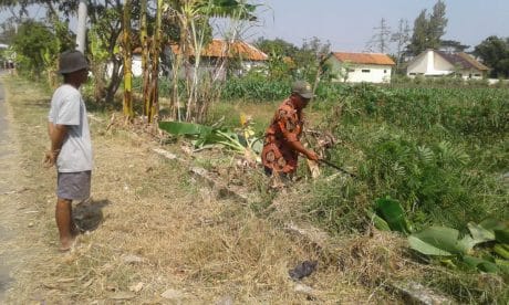 Agar Tak Nampak Kumuh, Belakang Balai Desa Dibesihkan