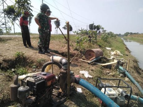 Danramil Suradadi Periksa DAM Pengairan Pertanian
