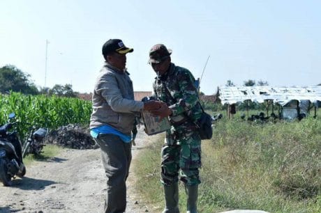 Kades Jatimulya Suradadi Tegal Totalitas Dukung Pembangunan TNI