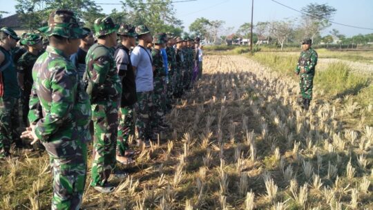 Terjun ke TMMD Kronjo, Danramil Curug Pacu Semangat Prajurit TNI