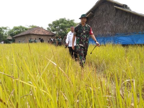 Pastikan Hasil Kerja Satgas, Dandim 0510/Tigaraksa Blusukan di Blukbuk