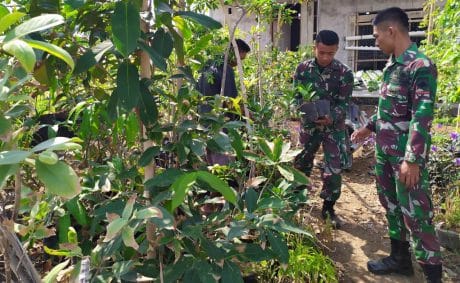 Dipelopori TNI, Penghijauan di Desa Sasaran TMMD Menggeliat