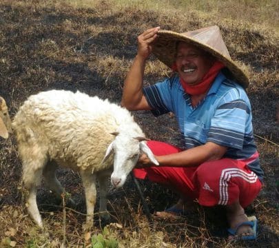 Jalan Dibangun TNI, Mencari Pakan Ternak Mudah’