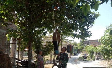 Akan Tinggalkan Kalikondang, Satgas TMMD Ini “Wariskan” Ilmu Petik Jambu