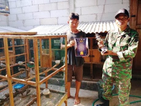 Latih Burung Balap, Satgas TMMD Bantu Trik