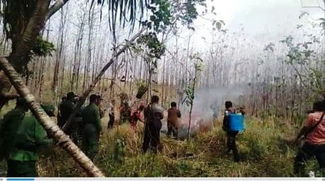 Petugas Gabungan Padamkan Api di Petak 42d Perhutani RPH Banjarharjo Brebes