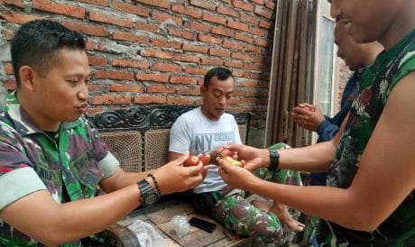 Jambu Air Menjadi sarana Untuk Menjaga Kekompakan dan Mengusir Kejenuhan