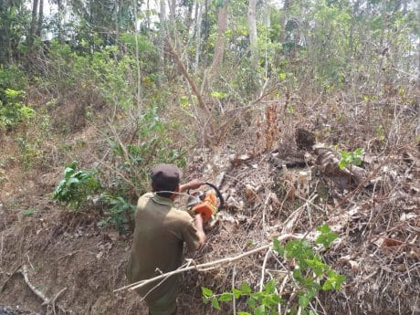 Kasman Mulai Memainkan Keahliannya dalam Menggunakan Senso