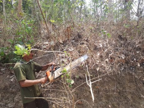 Gergaji Mesin Meraung Siap Tebang Pohon di Lokasi Pra TMMD